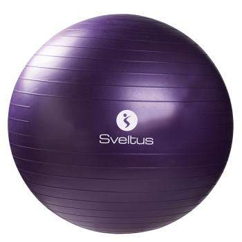 0445 - Gym Ball 75 cm