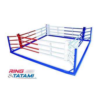 RIDESO5 - ring au sol de 5 m sur 5 m - www.ring-tatami.com