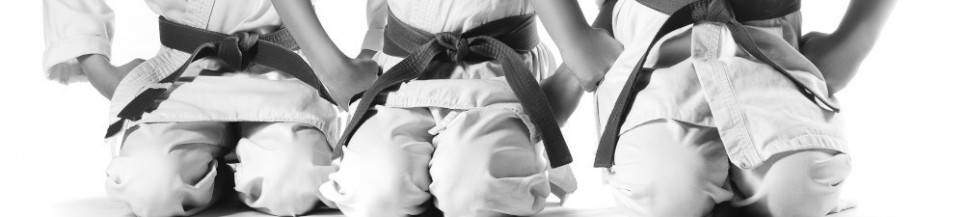 Vêtements d'arts martiaux pour enfant sur Ring & Tatami