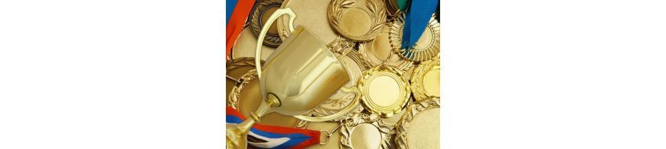 récompenses - coupes médailles et trophées chez ring et tatami